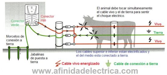 El alambrado eléctrico: Instalación y manejo – Afinidad Eléctrica