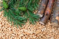 La biomasa resuelve el dilema de alimentos o combustibles.