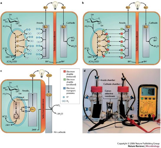 La conversión de energía química en eléctrica es posible en ciertos dispositivos electroquímicos denominados células o pilas de combustible (“Fuel Cells”).