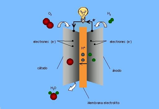 En el cátodo, el oxígeno reacciona con los protones para producir agua, que es el único subproducto obtenido a partir de una PEMFC alimentada por hidrógeno, como muestra la siguiente figura.