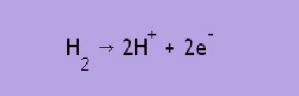 El hidrógeno es oxidado en el ánodo a protones: