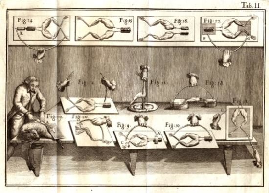 Luigi Galvani y la “electricidad animal” – Afinidad Eléctrica
