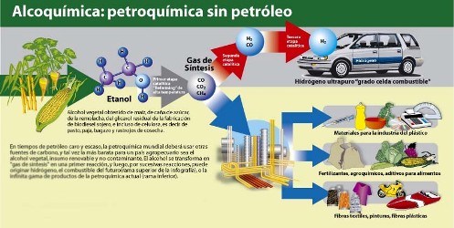 La industria de los biocombustibles nacería concentrada y abre dudas en términos de degradación de los suelos.