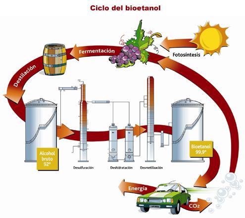 A partir del 1º de enero de 2010, tanto las naftas como el gasoil deberán obligatoriamente mezclarse con un 5 por ciento de bioetanol, las primeras, y 5 por ciento de biodiesel, el segundo.