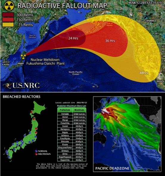 Los niveles estimados por André-Claude Lacoste difieren de los comunicados por Tokio. Japón colocó el accidente nuclear en el nivel 4, que equivale a un “accidente de alcance local”